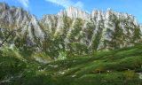 Хребет Дуссе-Алинь, изображение ландшафта.