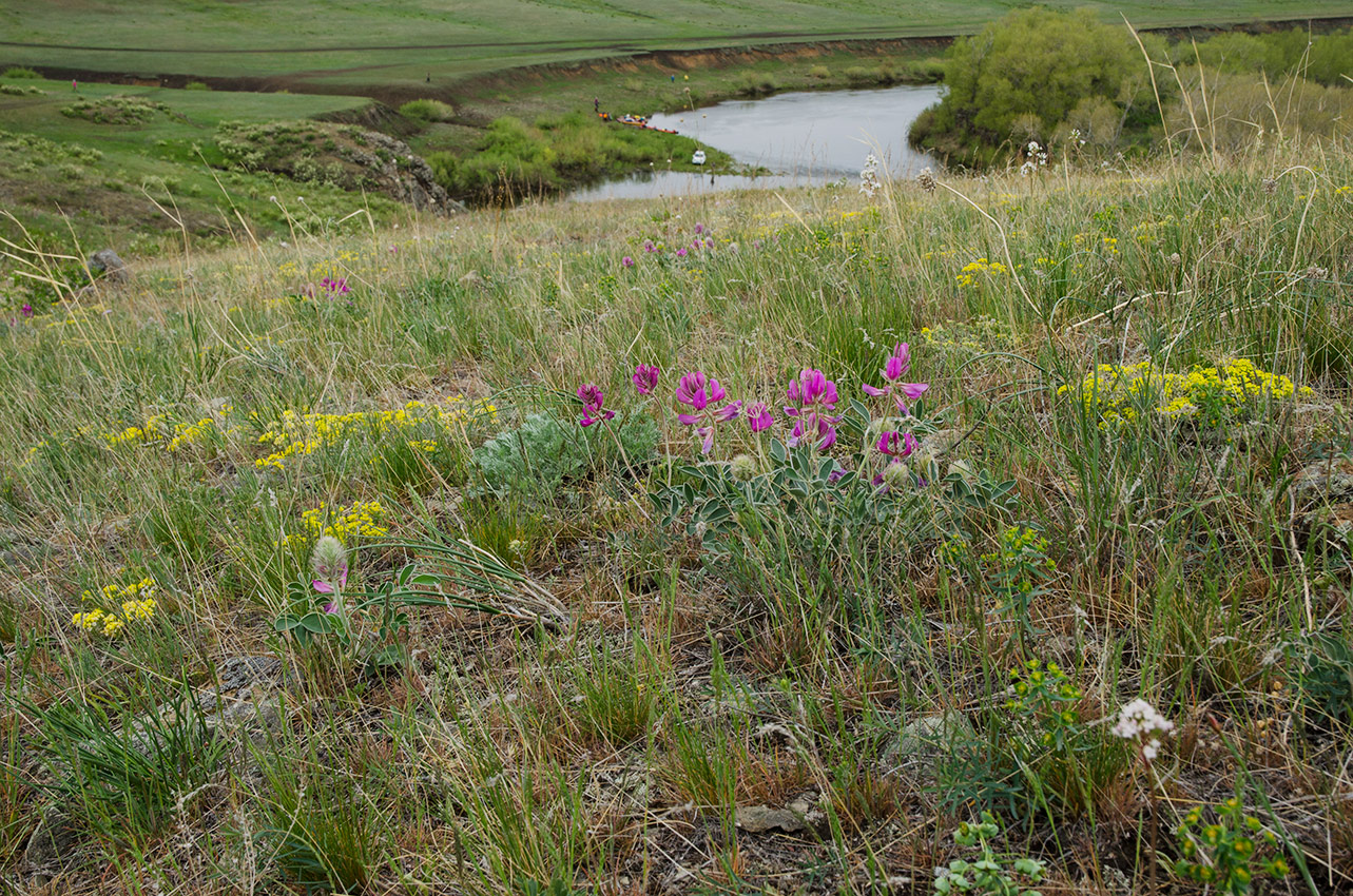 Богдановское, image of landscape/habitat.