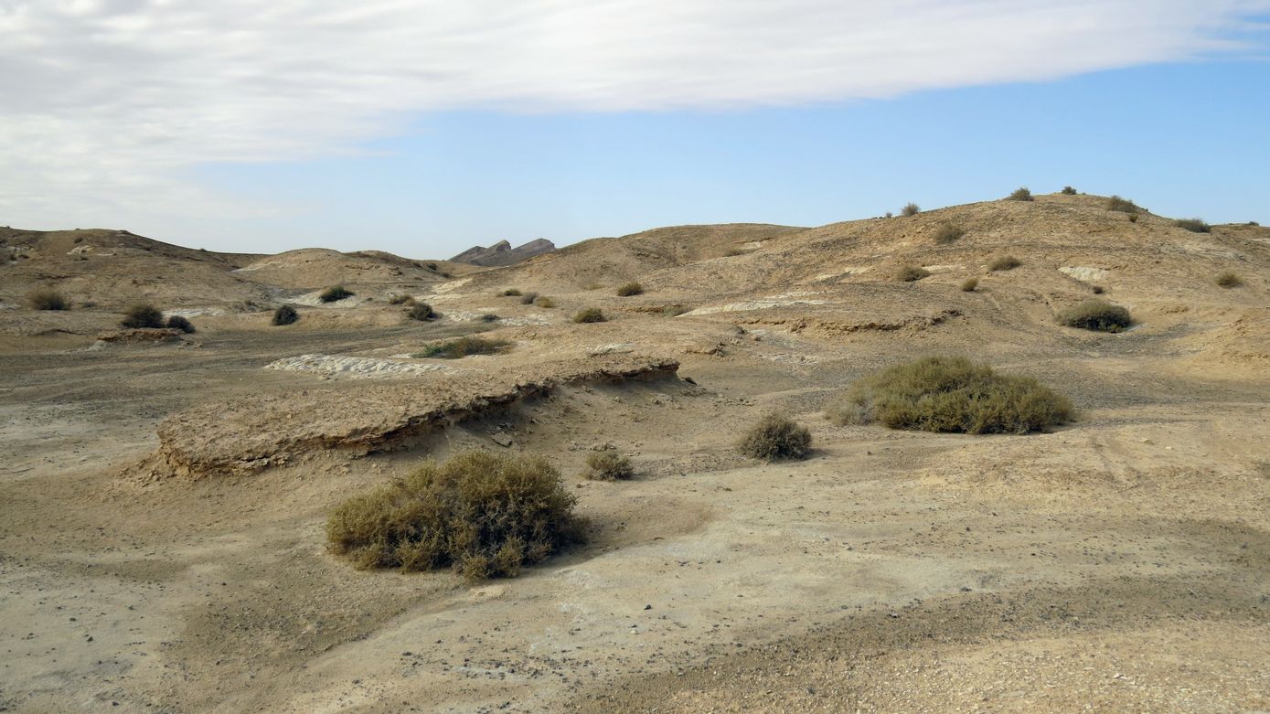 Эмек Арава, image of landscape/habitat.