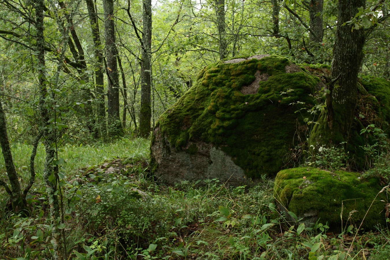 Мыс Дубовский, изображение ландшафта.