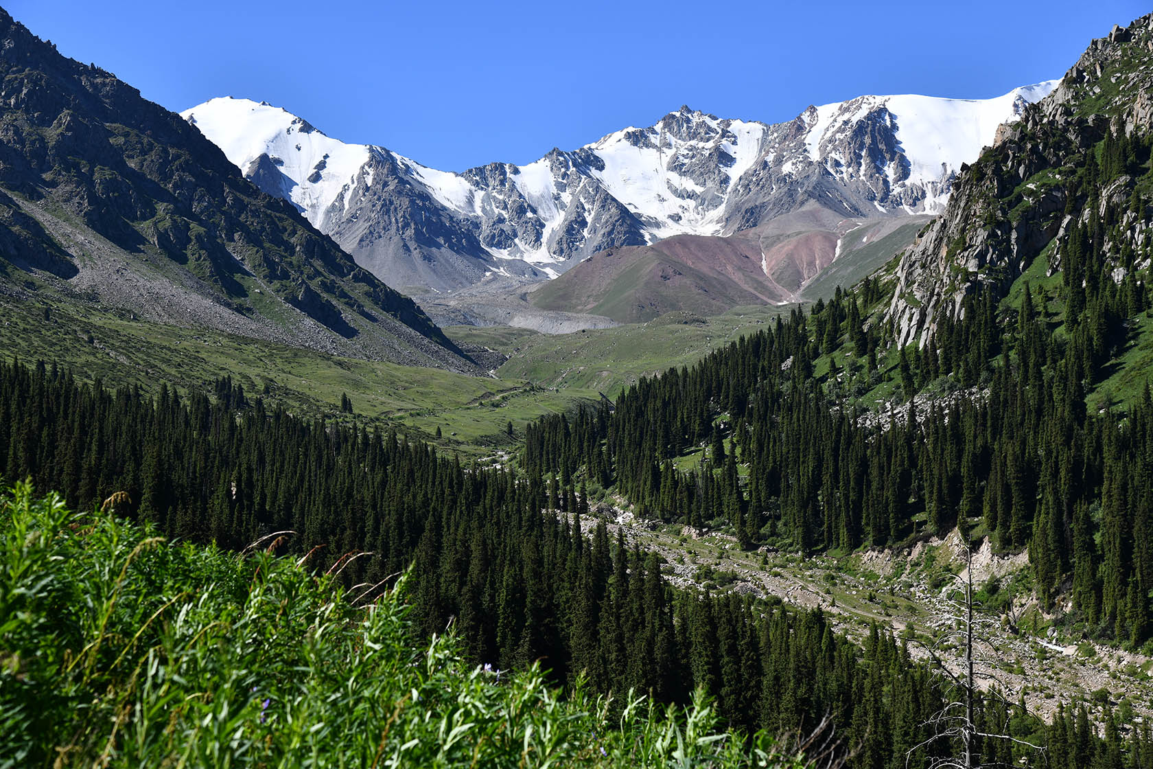 Большое Алматинское ущелье, изображение ландшафта.