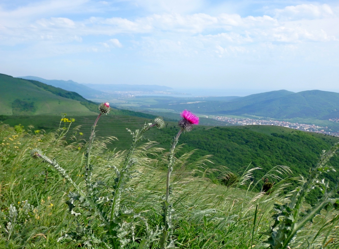 Отроги горы Совхозная, изображение ландшафта.