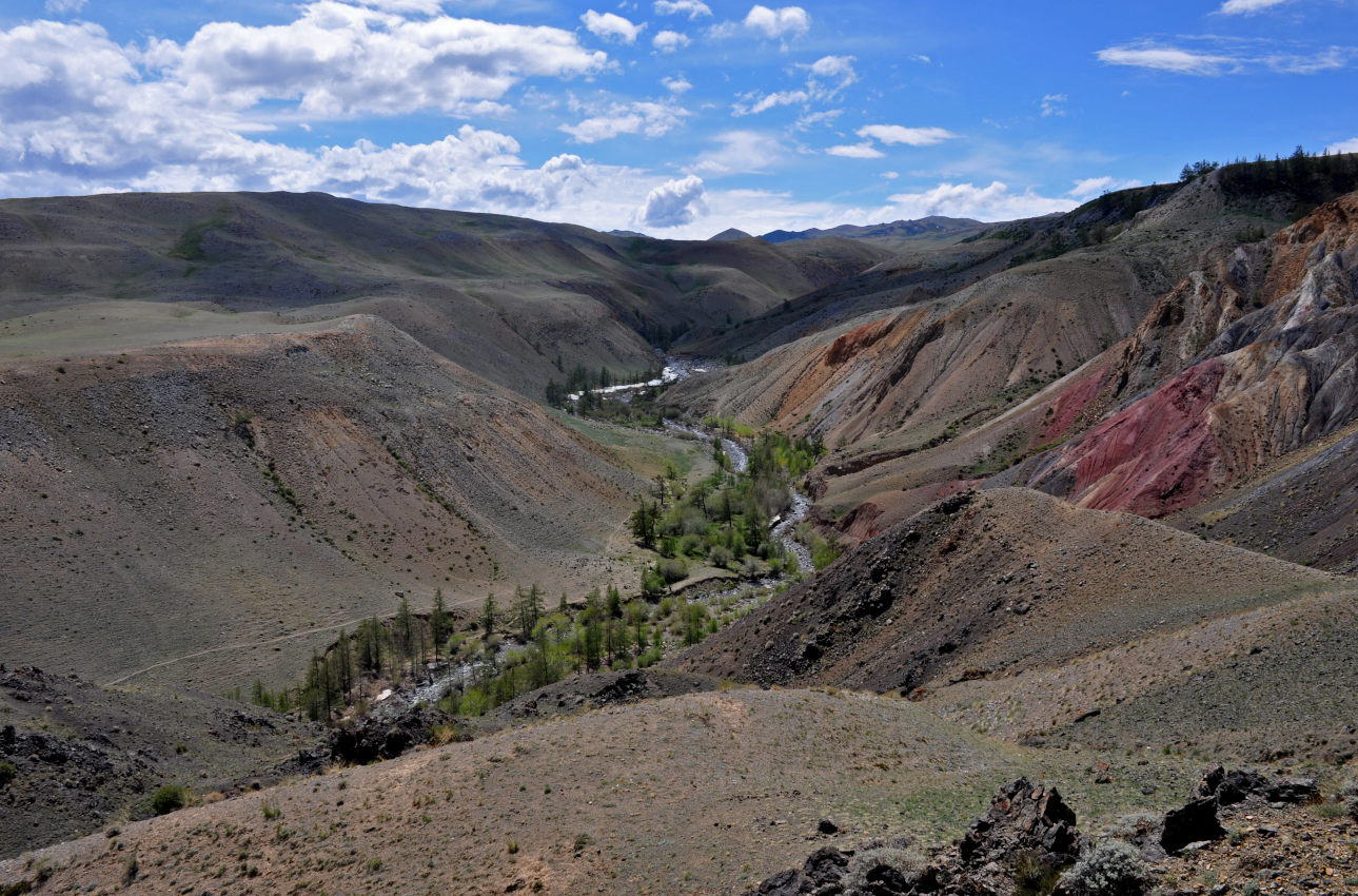 Долина реки Кызыл-Чин, изображение ландшафта.