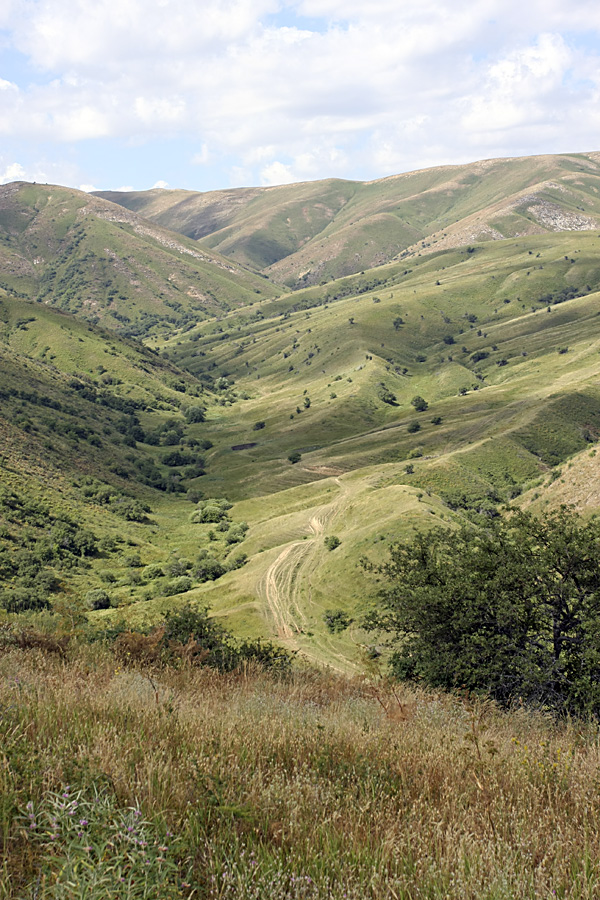 Ущелье Карасай, изображение ландшафта.