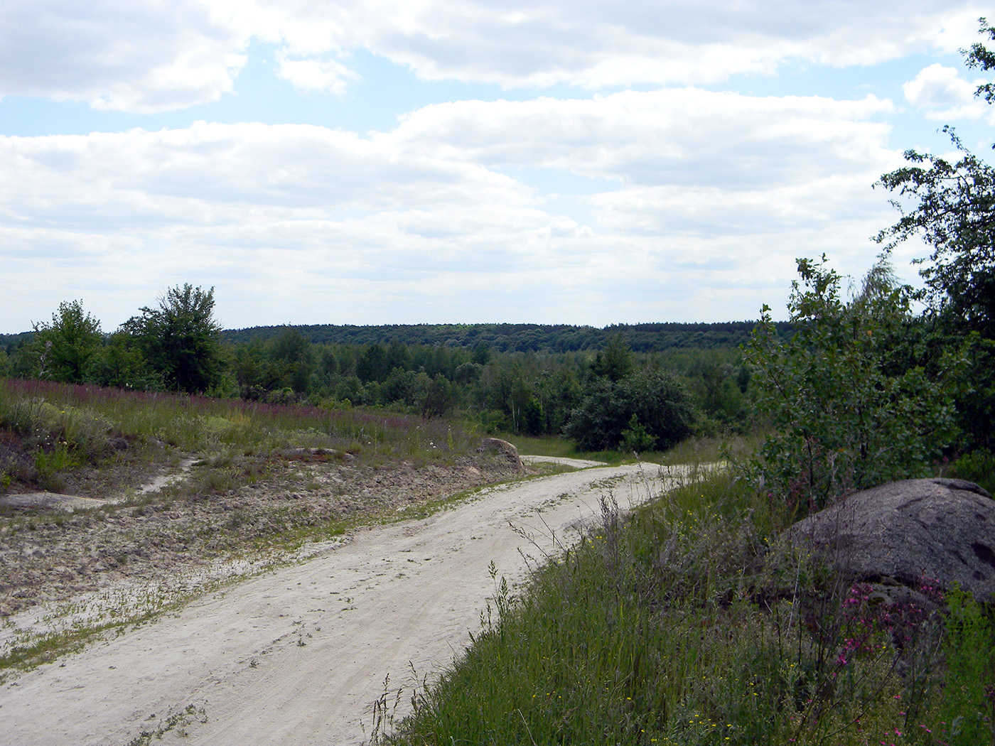 Окрестности г.Новоград-Волынский, image of landscape/habitat.