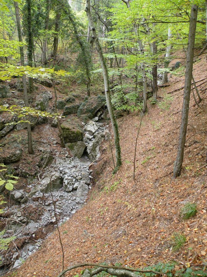 Урочище Таракташ, image of landscape/habitat.