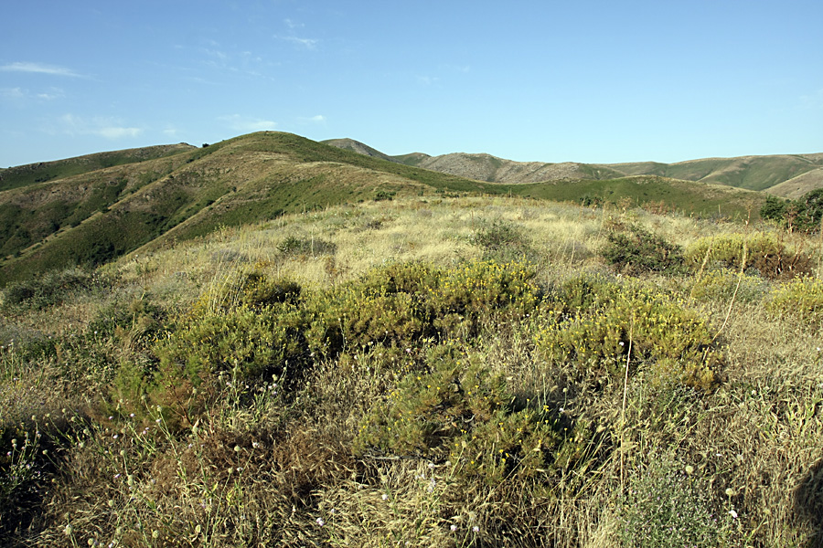 Ущелье Карасай, image of landscape/habitat.