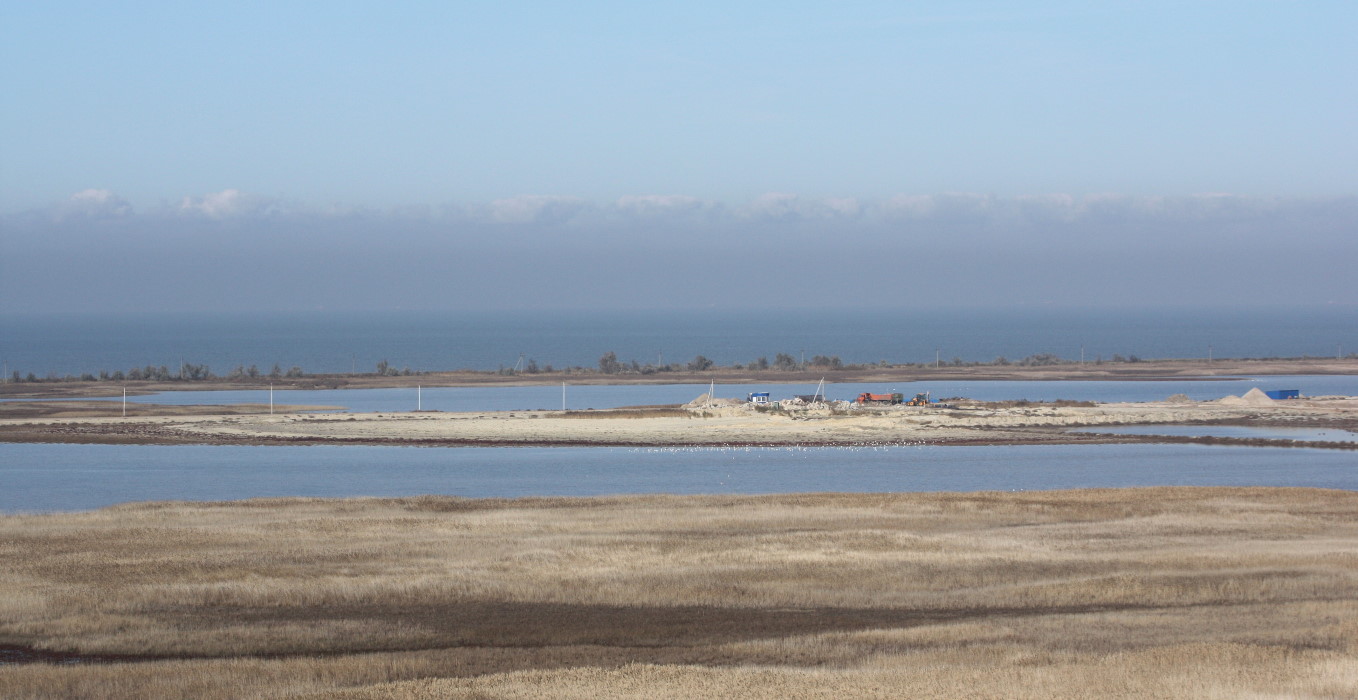 Шабельское, image of landscape/habitat.