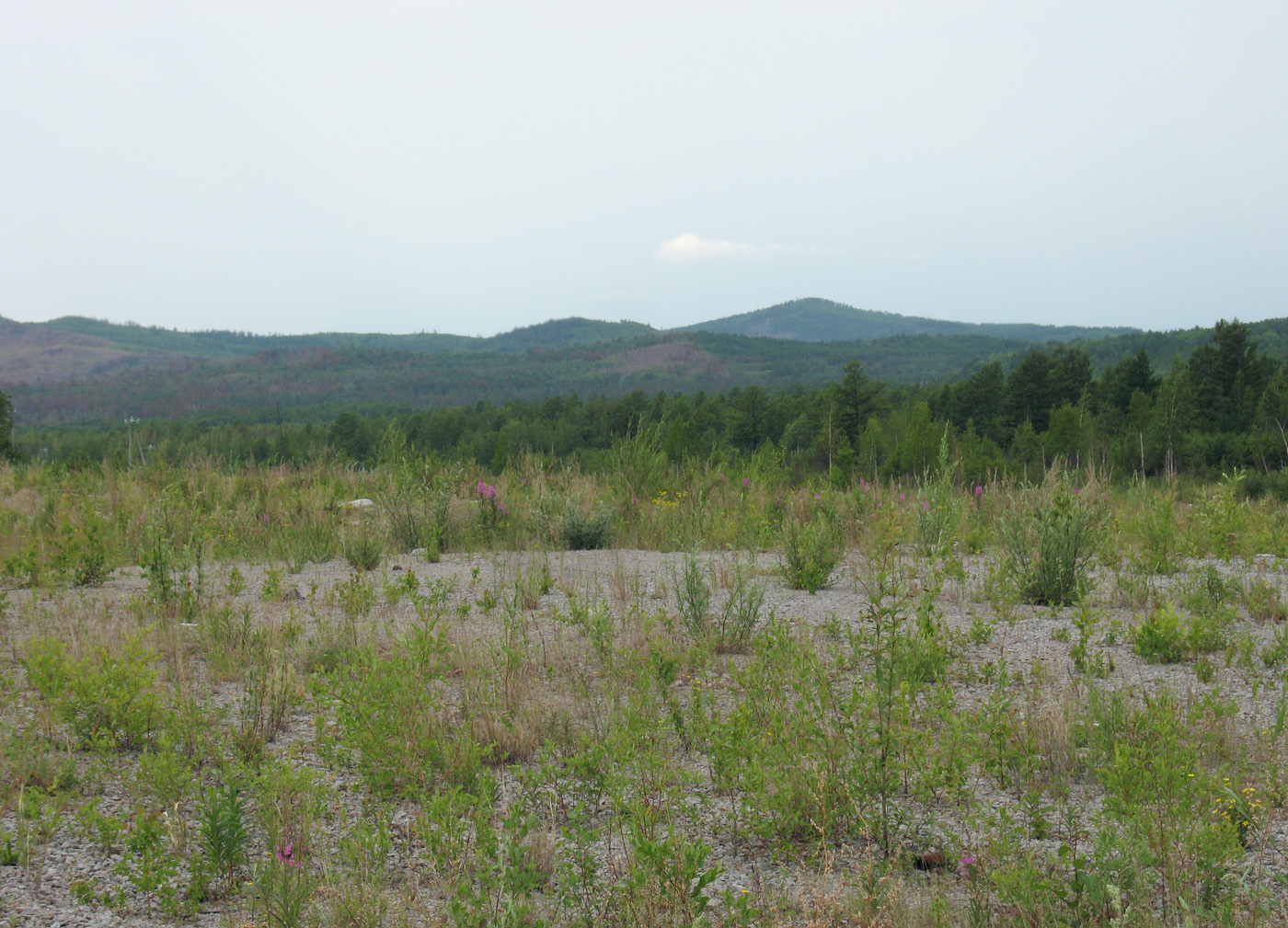 Граница Амурской области, изображение ландшафта.
