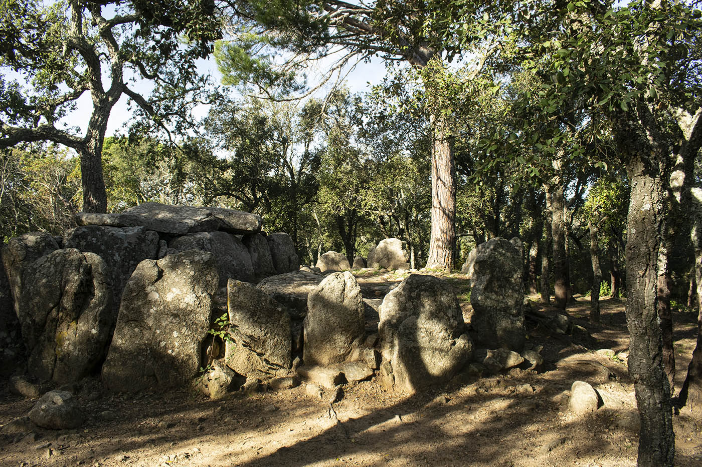 Долмен ла-Кова-ден-Диана, изображение ландшафта.