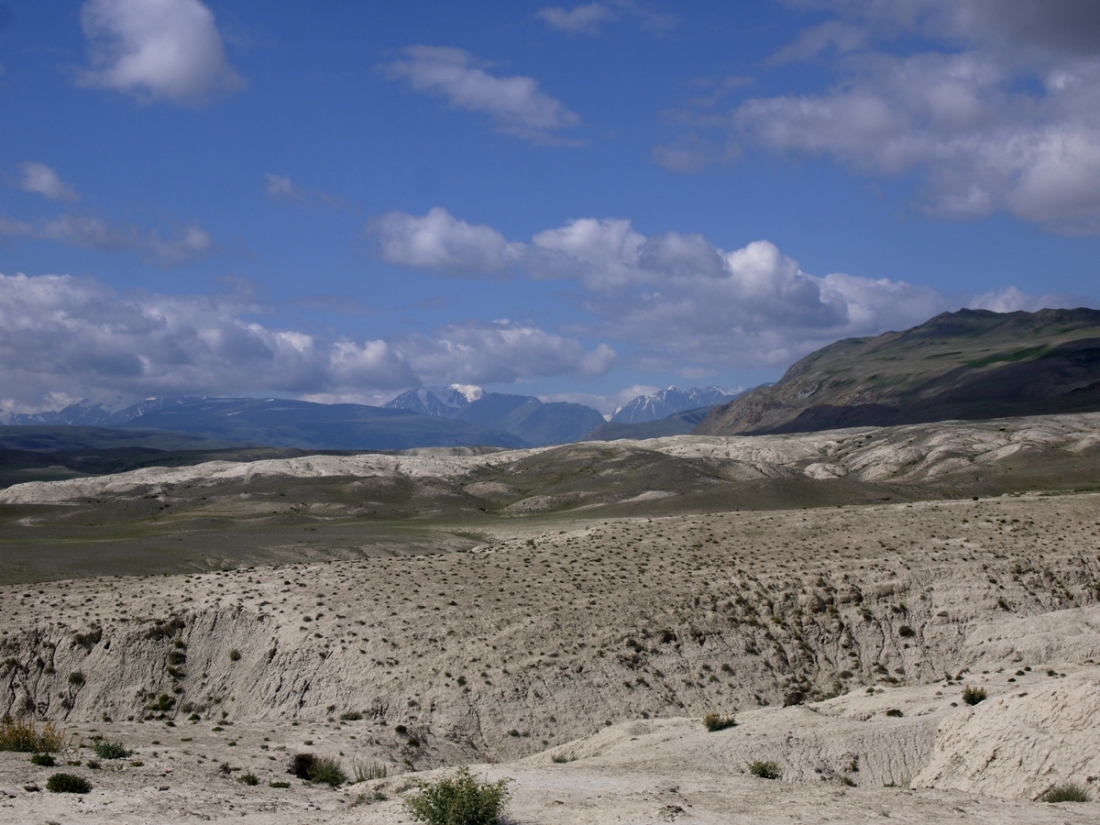 Чуйская степь, изображение ландшафта.