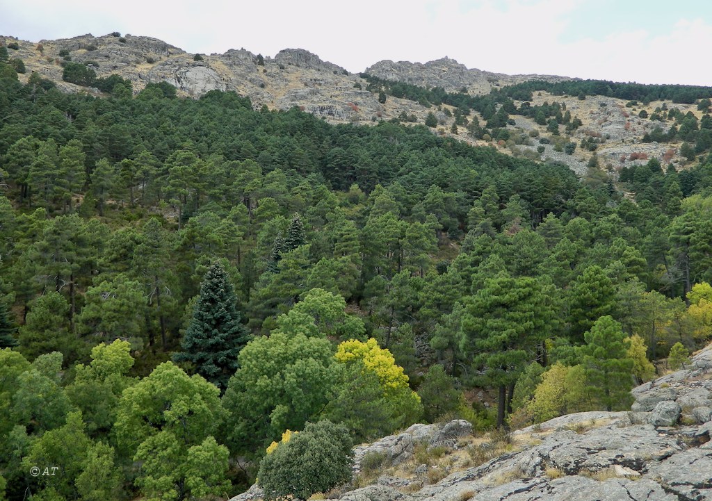 Аbantos (гора стервятников), изображение ландшафта.