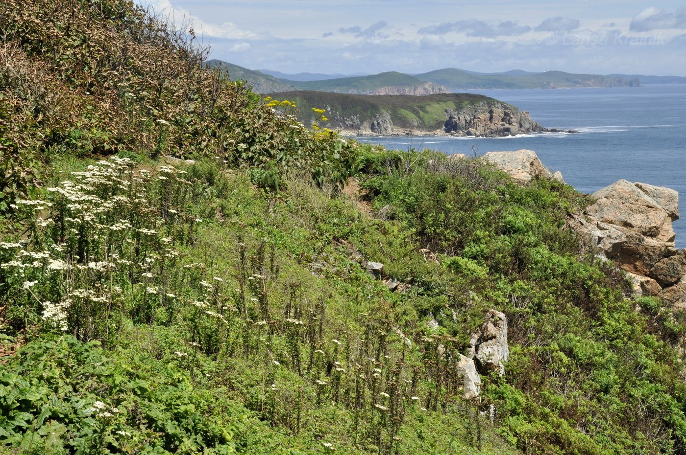 Остров Желтухина, изображение ландшафта.