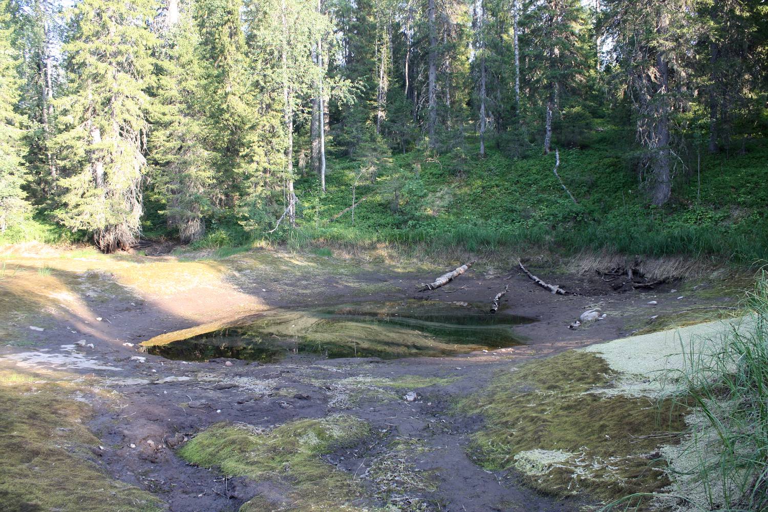 Мудьюгские озёра, image of landscape/habitat.