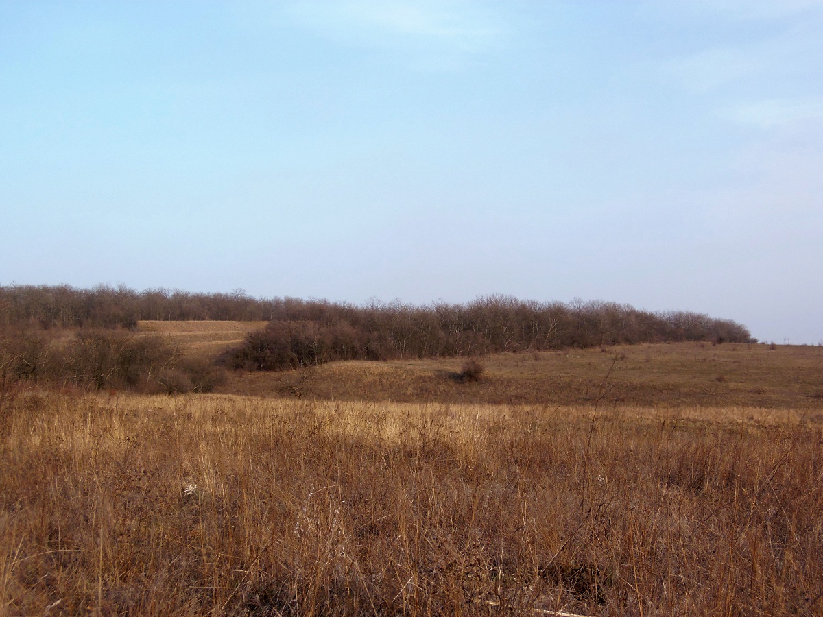 Балка Партизанская, image of landscape/habitat.