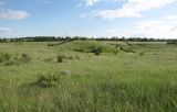 Лог Вишняки, image of landscape/habitat.