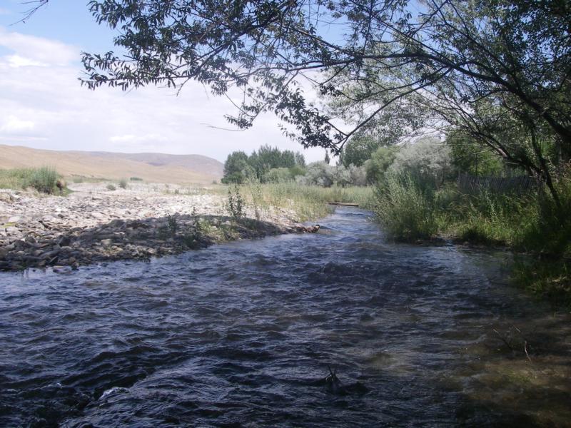 Река Коксарай, изображение ландшафта.