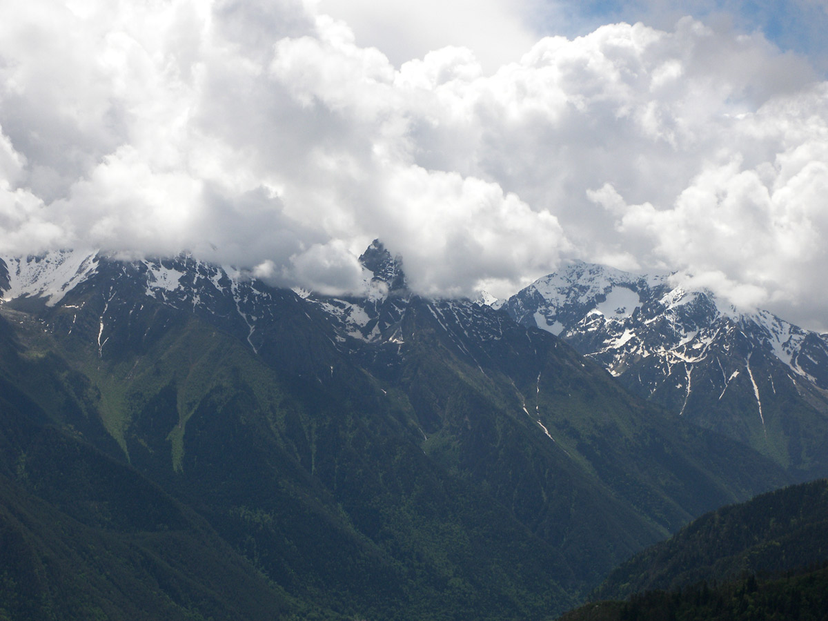 Гора Лысая, изображение ландшафта.