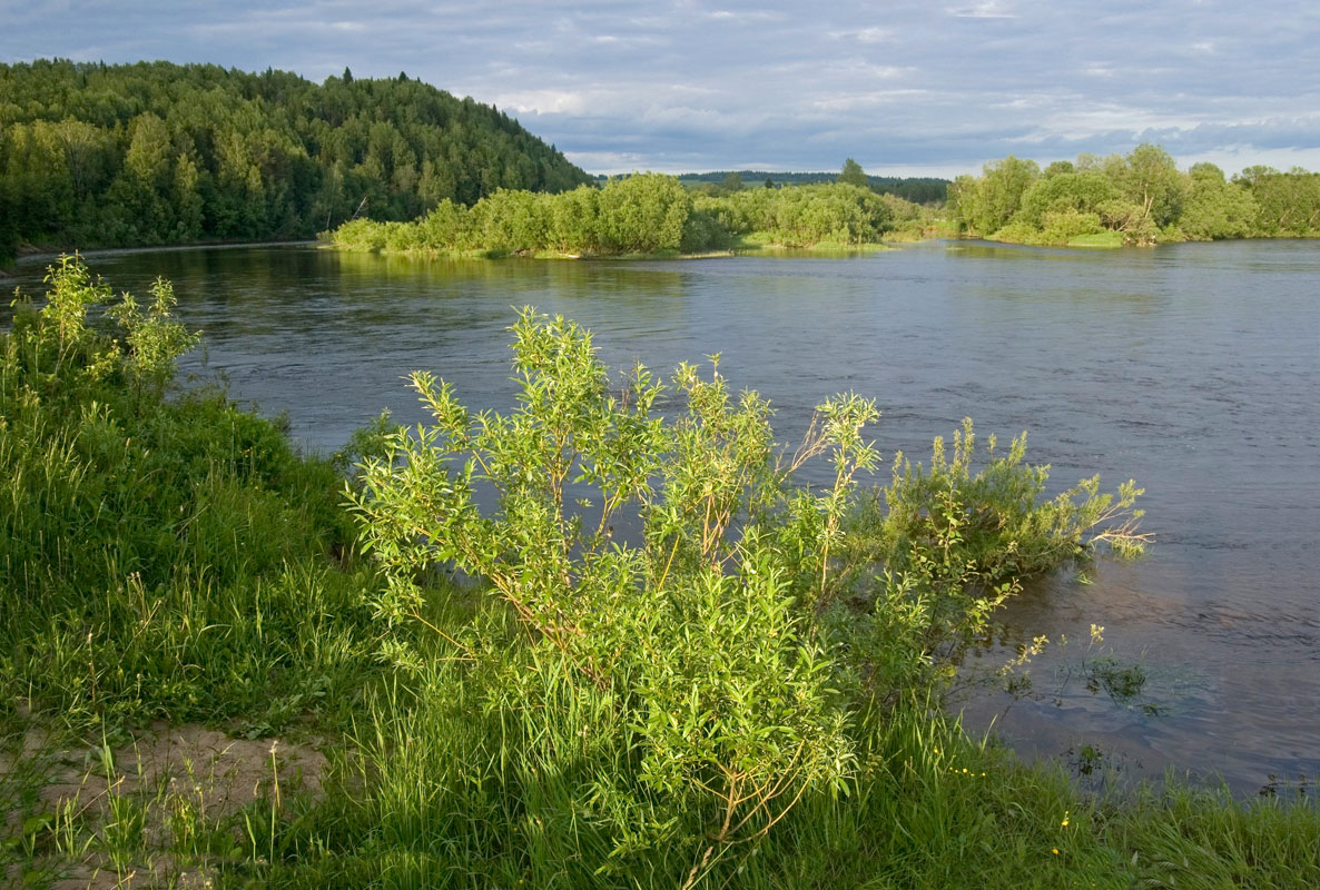 Окрестности села Верх-Язьва, изображение ландшафта.