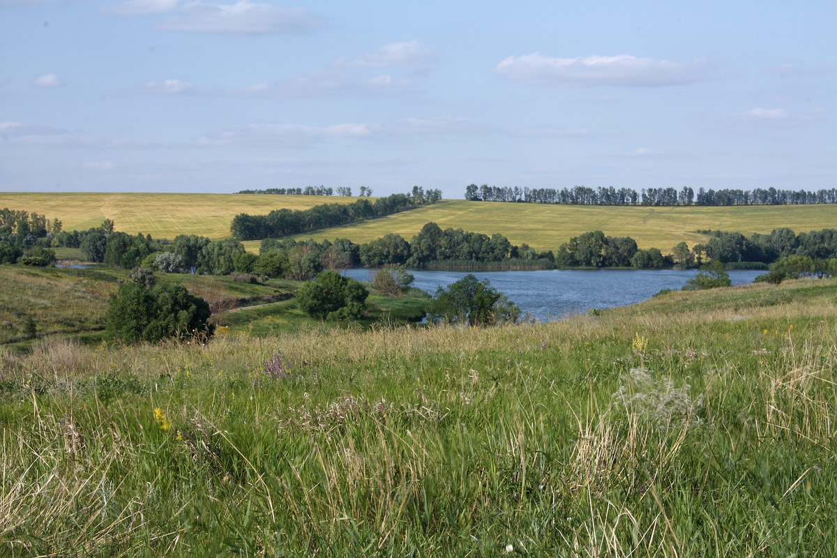 Острасьев Яр, изображение ландшафта.