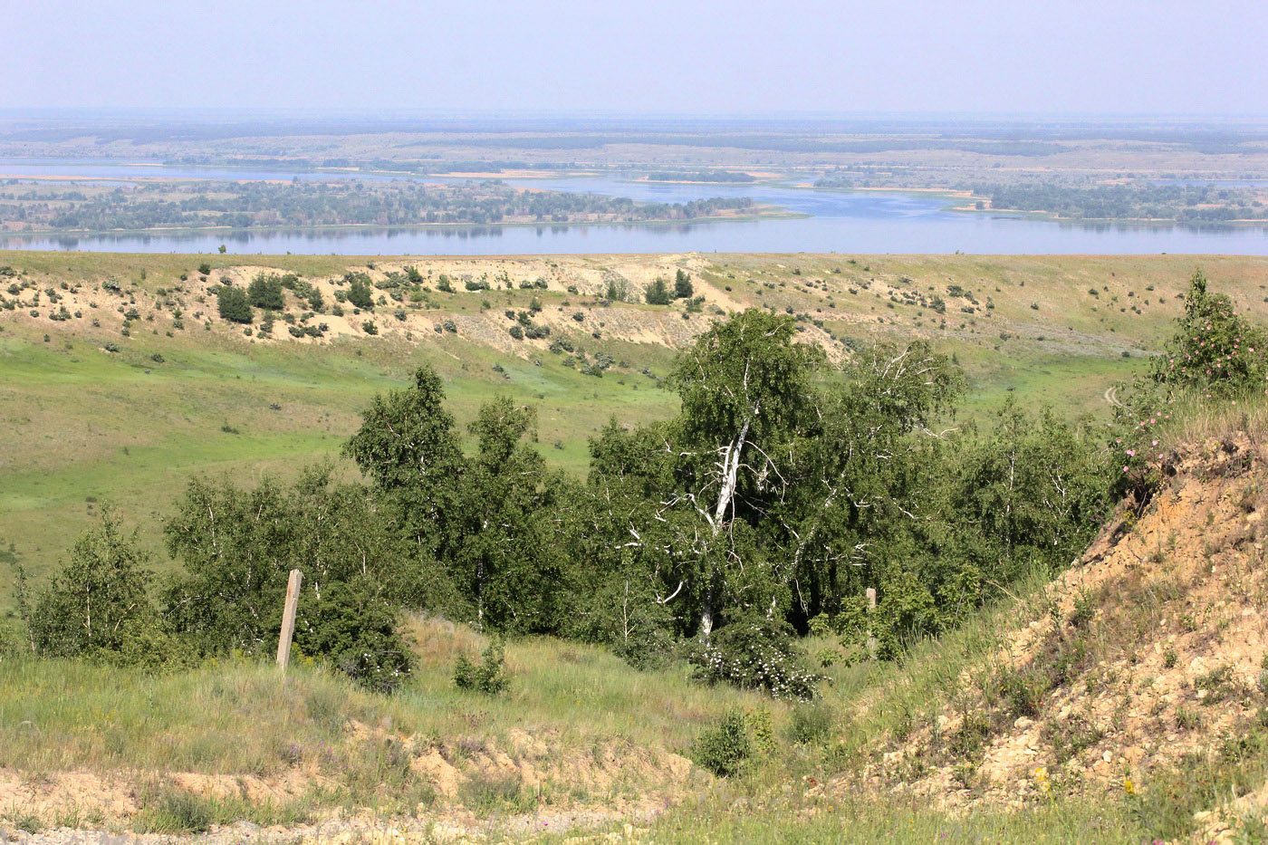 Белогорское, изображение ландшафта.