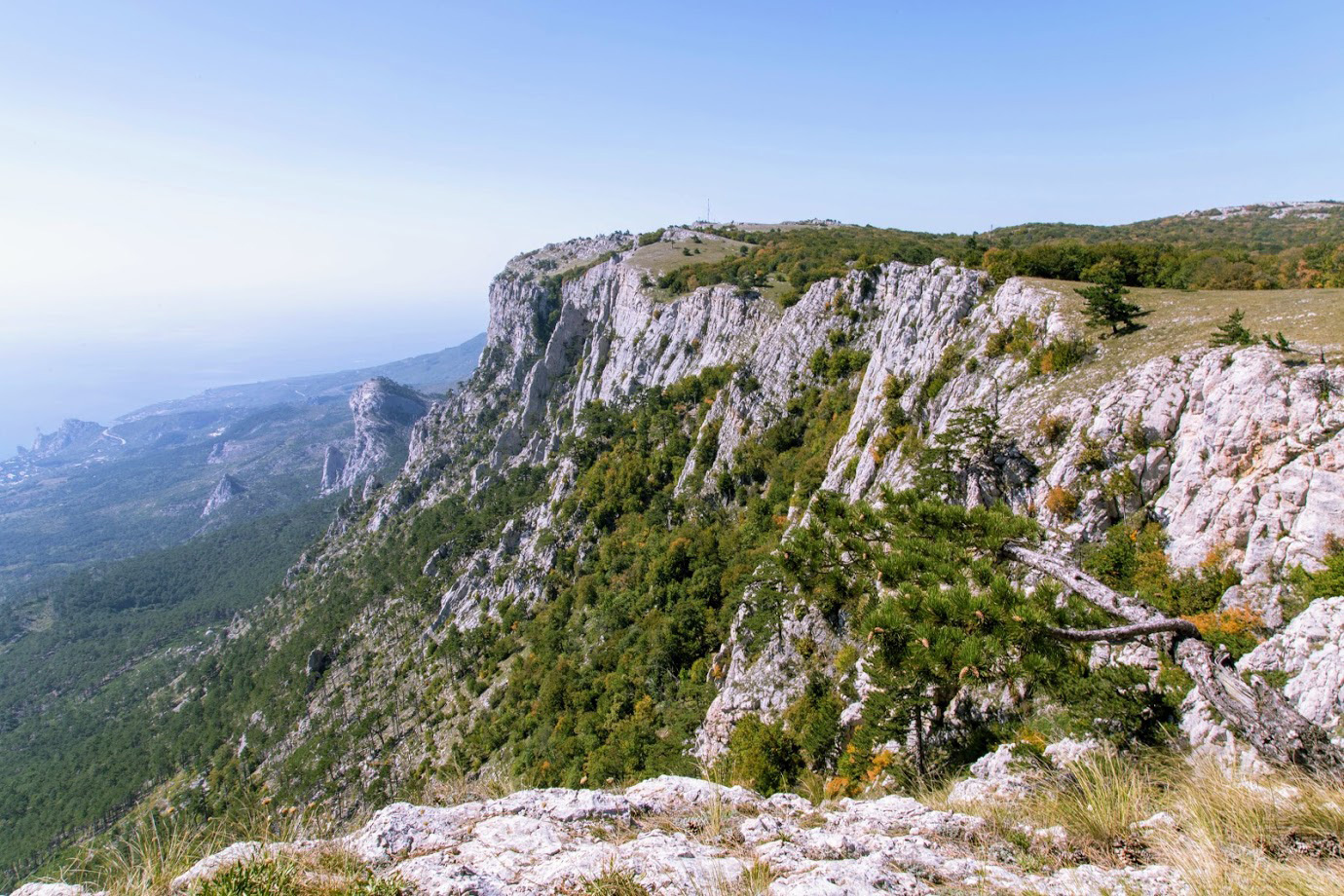 Ай-Петринская яйла, изображение ландшафта.