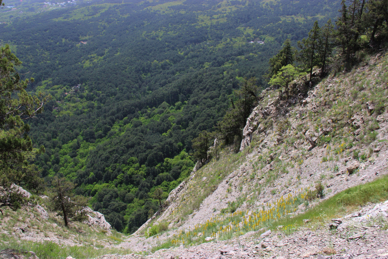 Боткинская тропа, изображение ландшафта.