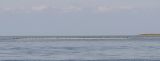 Остров Ейская коса, изображение ландшафта.