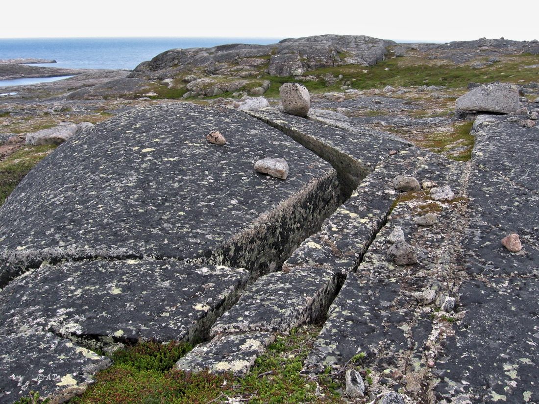 Губа Широкая, image of landscape/habitat.