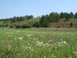 Золотые Пески, image of landscape/habitat.
