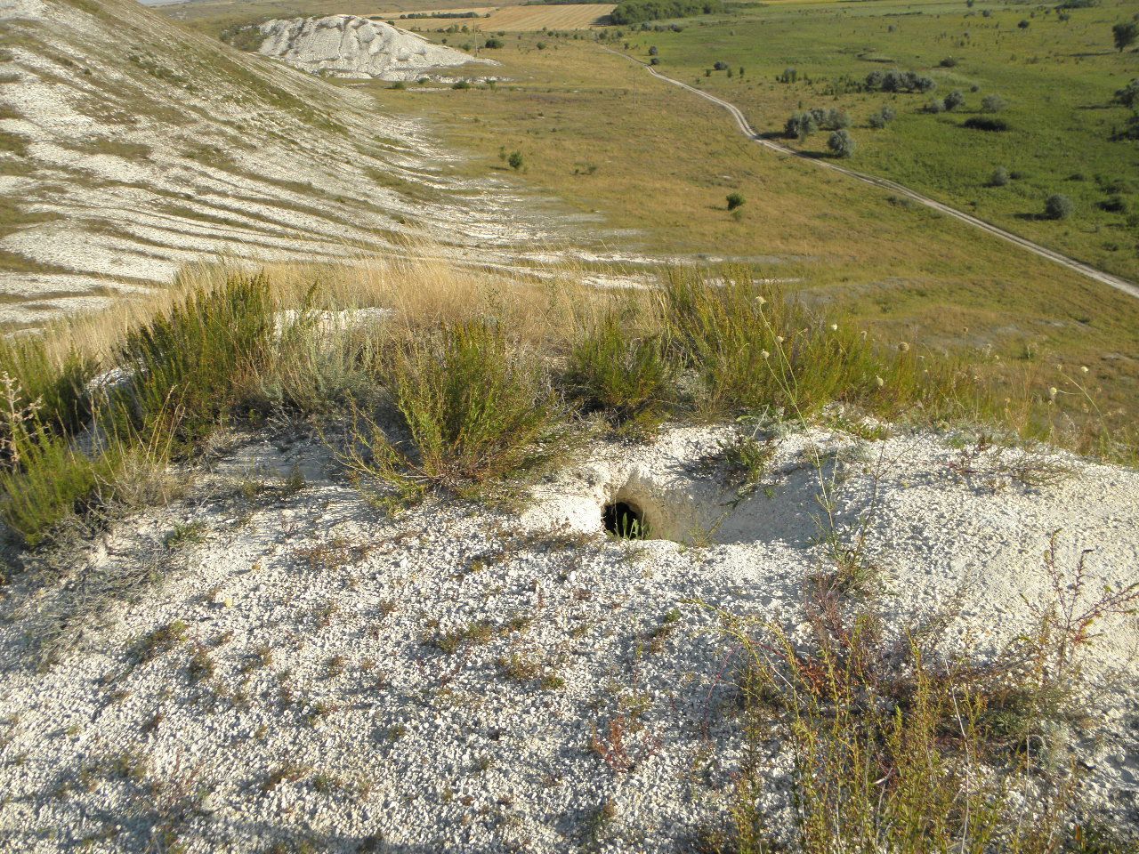 Село Стрельцовка, изображение ландшафта.