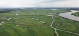Пойма реки Обь, Каргасок, изображение ландшафта.