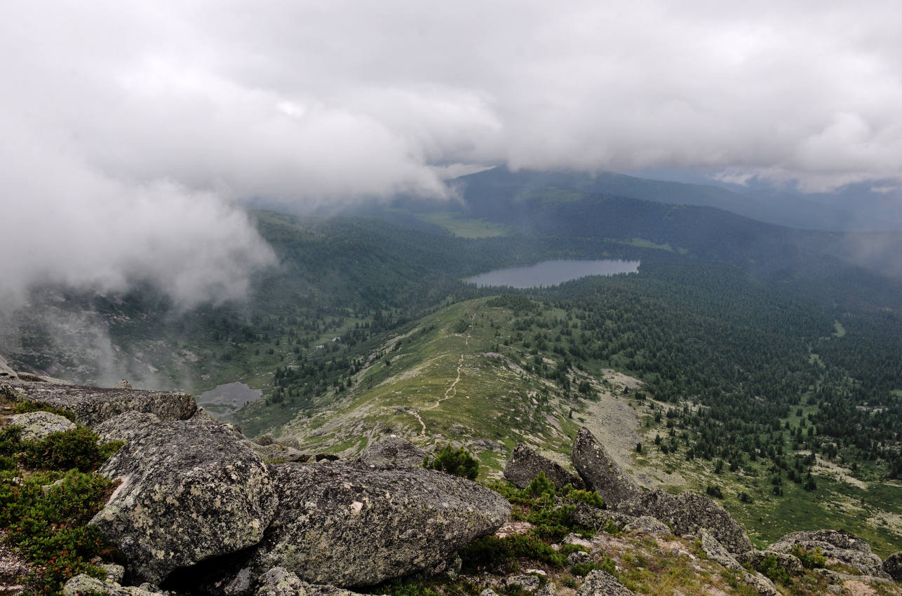 Гора Птица, image of landscape/habitat.