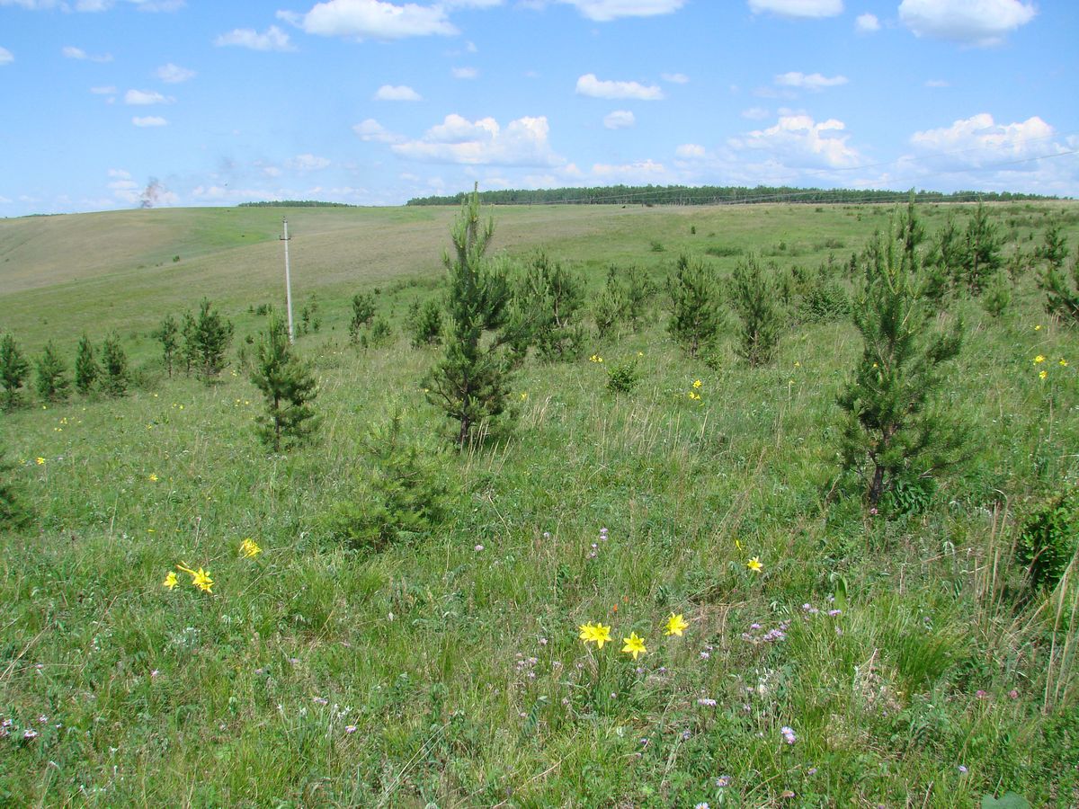 Село Бохан, изображение ландшафта.