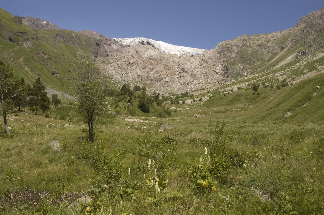 Долина реки Терскол, изображение ландшафта.