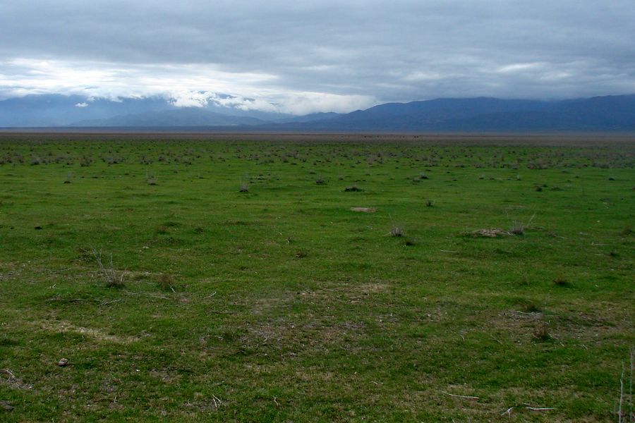 Фаришская степь, изображение ландшафта.