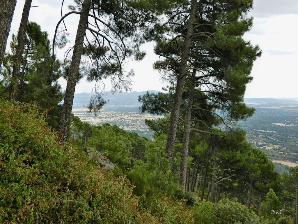 Аbantos (гора стервятников), изображение ландшафта.