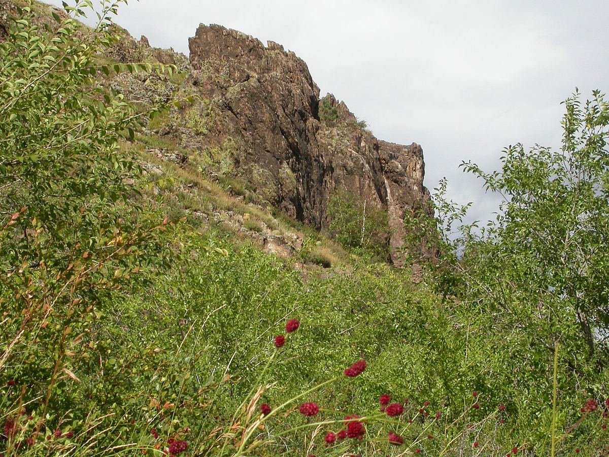 Гусиноозерский Хамар-Дабан, image of landscape/habitat.