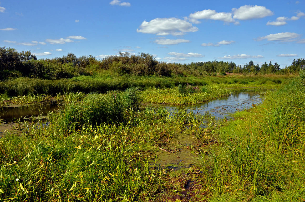 Долина реки Поля, image of landscape/habitat.