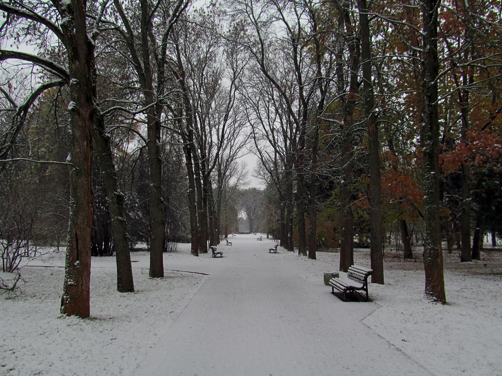 Минск, Ботанический сад, изображение ландшафта.
