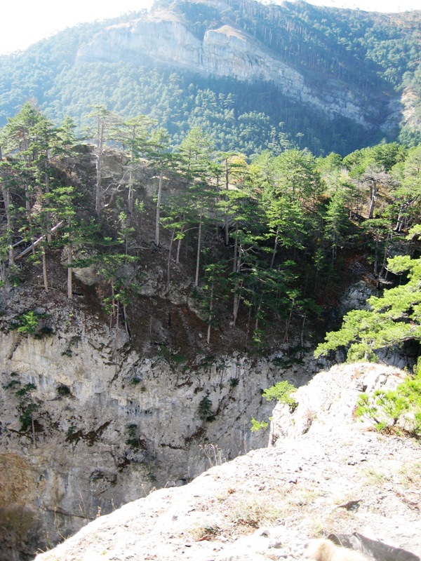 Ущелье Уч-Кош, изображение ландшафта.