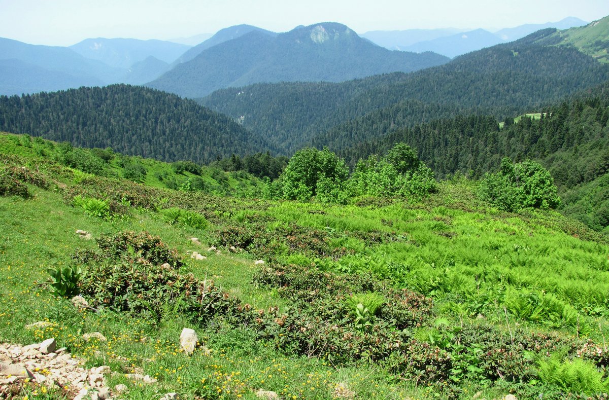Хребет Аибга, image of landscape/habitat.