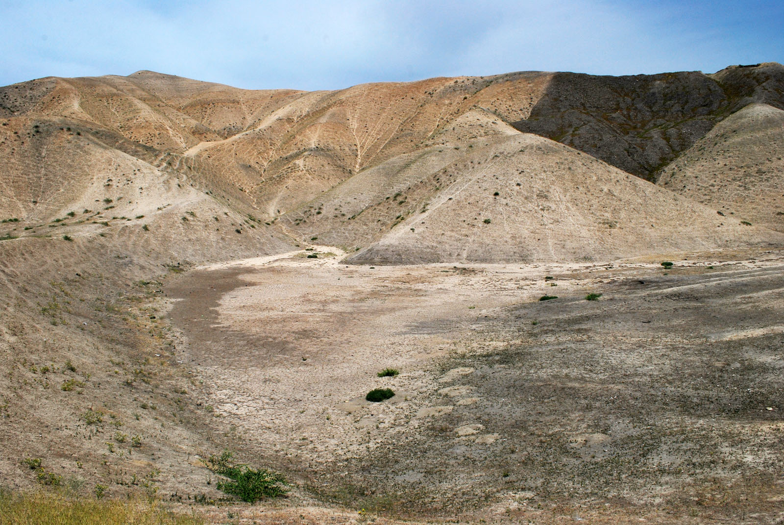 Адыры в окрестностях Андижана, изображение ландшафта.