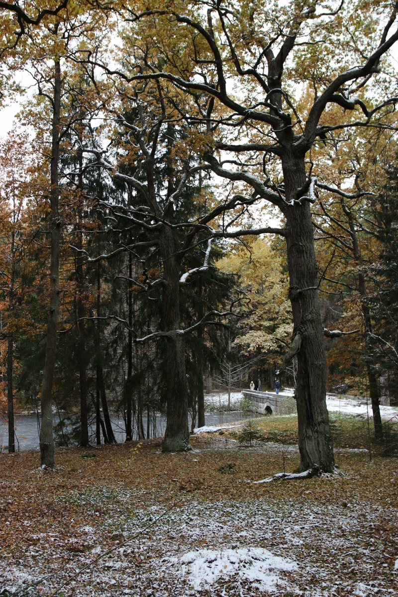 Парк "Сергиевка", изображение ландшафта.