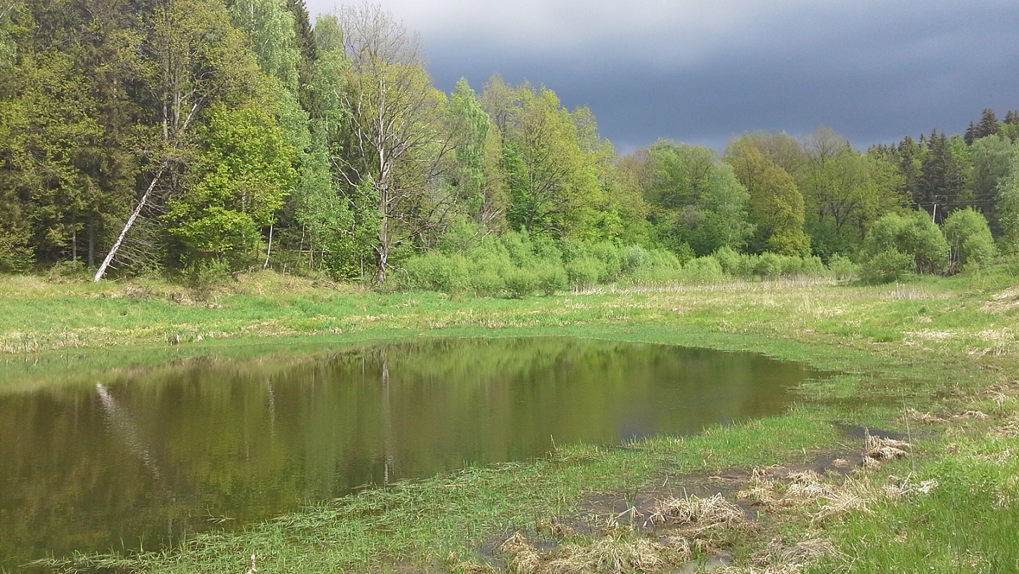 Чёлоховский пруд, изображение ландшафта.