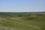 Кзыладырское карстовое поле, изображение ландшафта.