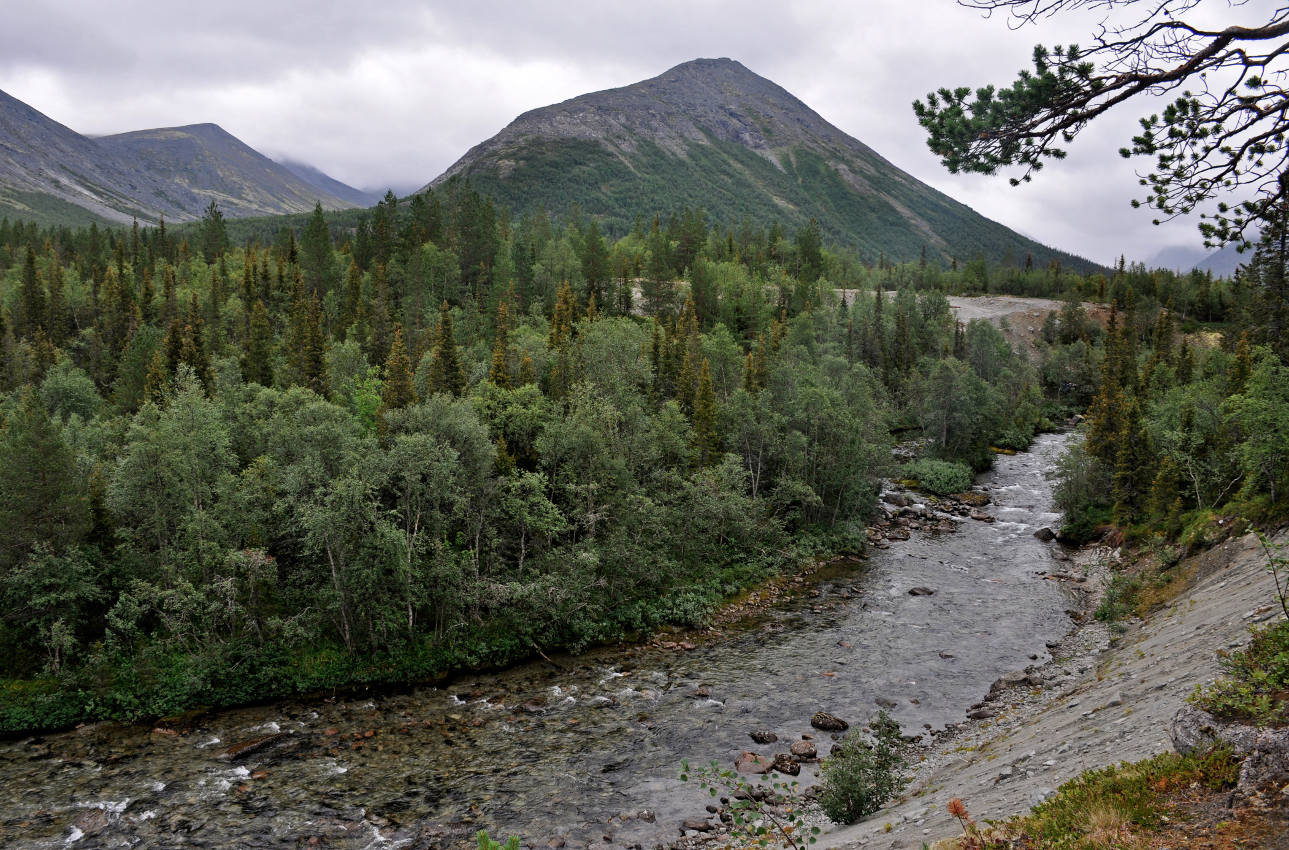 Долина реки Кунийок, image of landscape/habitat.