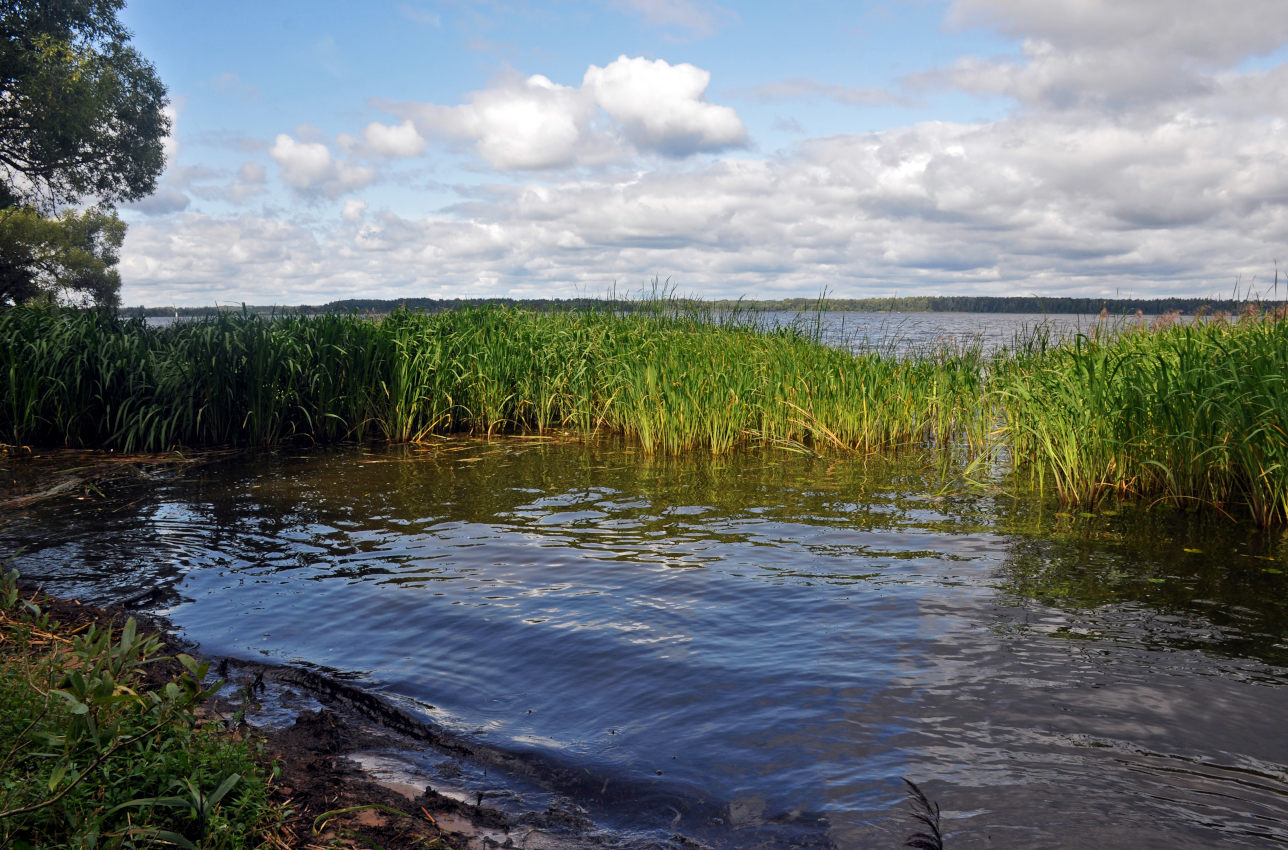 Иваньковское водохранилище, изображение ландшафта.