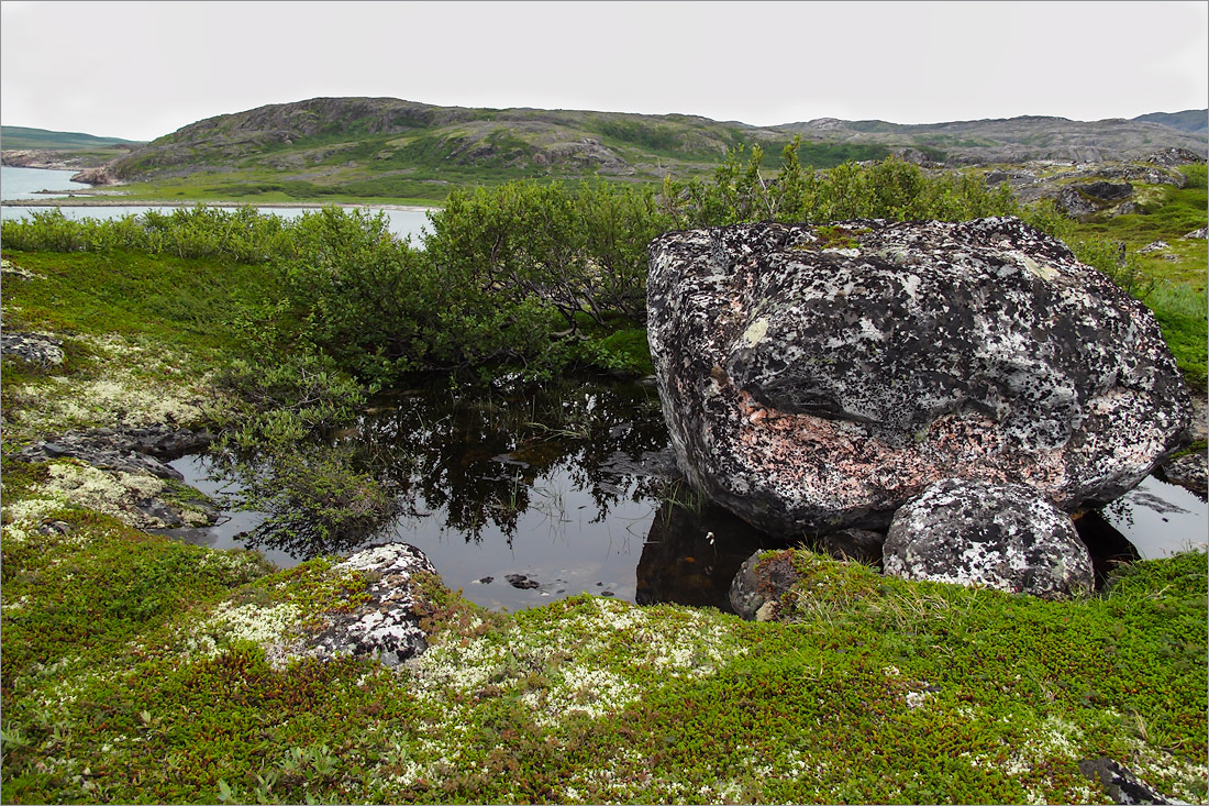 Малая Волоковая губа, image of landscape/habitat.