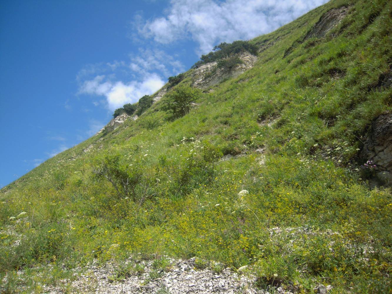Отроги Джинальского хребта, изображение ландшафта.